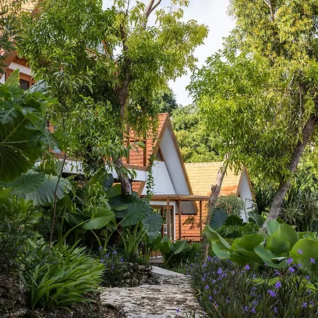 Deep Roots Dive & Yoga Resort Toyapakeh Exterior photo