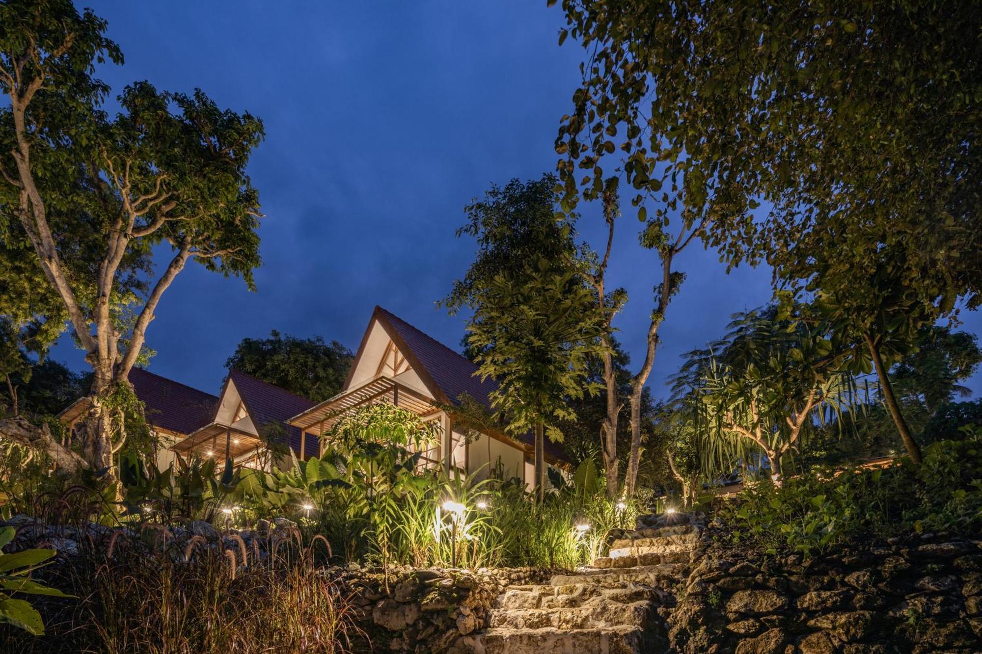 Resort Deep Roots Dive & Yoga