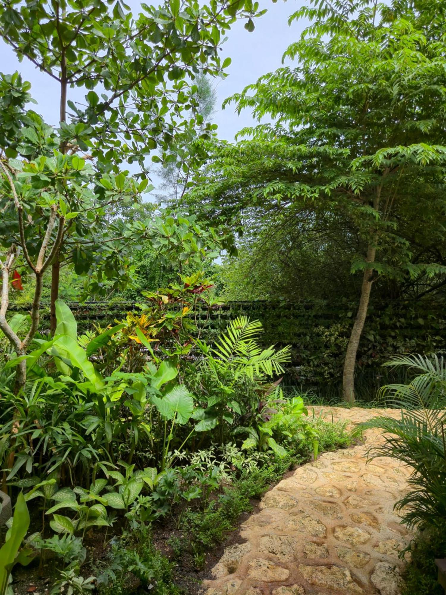 Deep Roots Dive & Yoga 4*